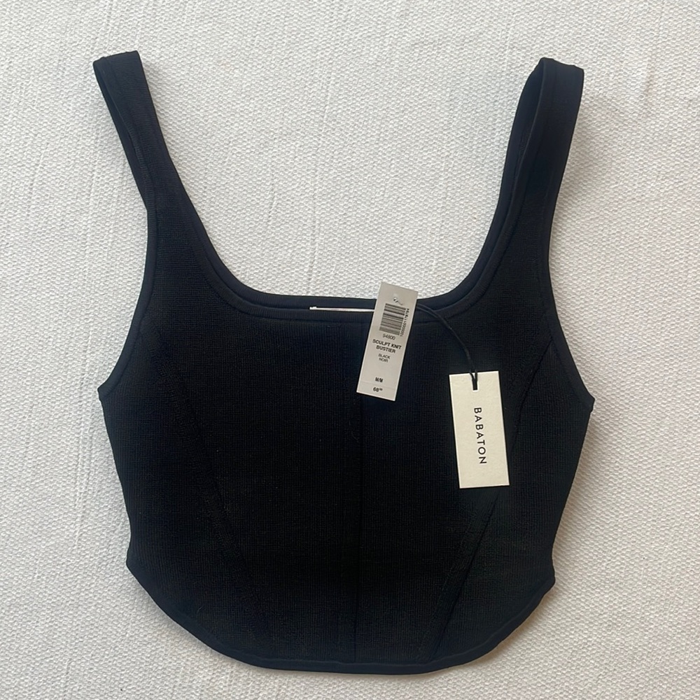 Aritzia Babaton sculpt knit bustier/crop top